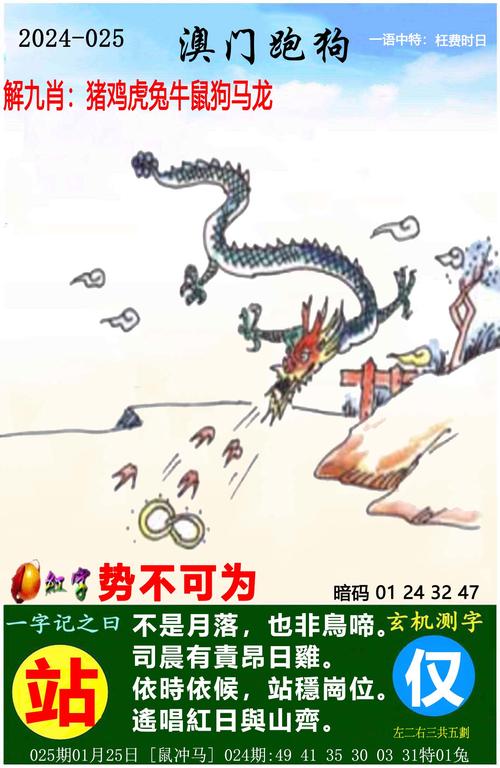 澳l门天天彩查询,2025年最新实用信息汇总指南