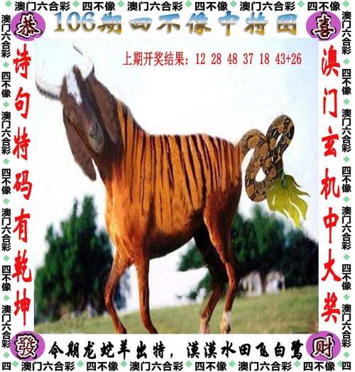2024澳门资料免费大全鬼谷子,2025全面解析实用技巧分享