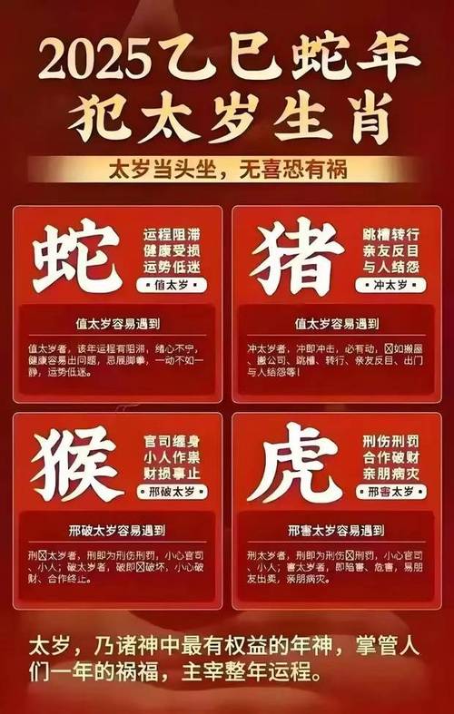 2024澳门资料免费大全十二生肖,2025全面解析实用技巧分享