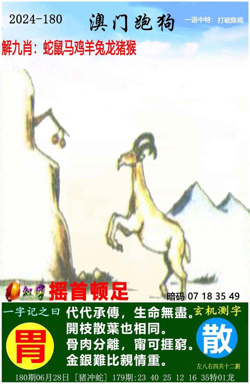 2024澳门资料免费大全四像解析图,2025全面解析实用技巧分享