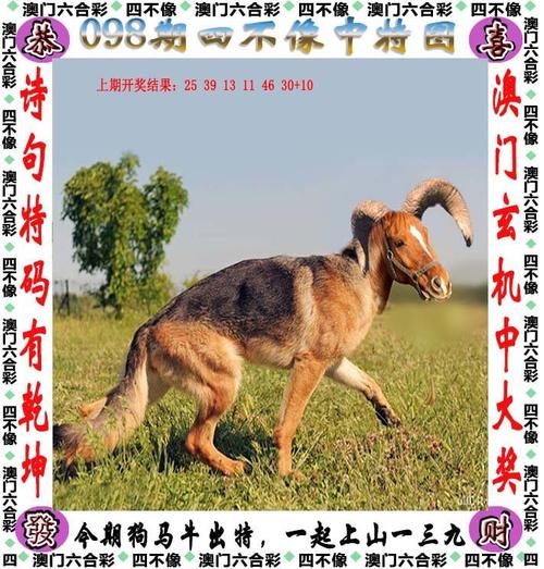 新2025澳门天天开好彩与澳门最准四不像网凤凰游戏网2023全面释义、解释与落实与警惕虚假宣传
