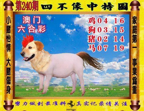 2025年5月11日 第7页