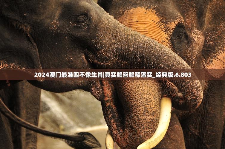 澳门内部正版资料2011与澳门最准四不像2024年第151期全面释义、解释与落实与警惕虚假宣传