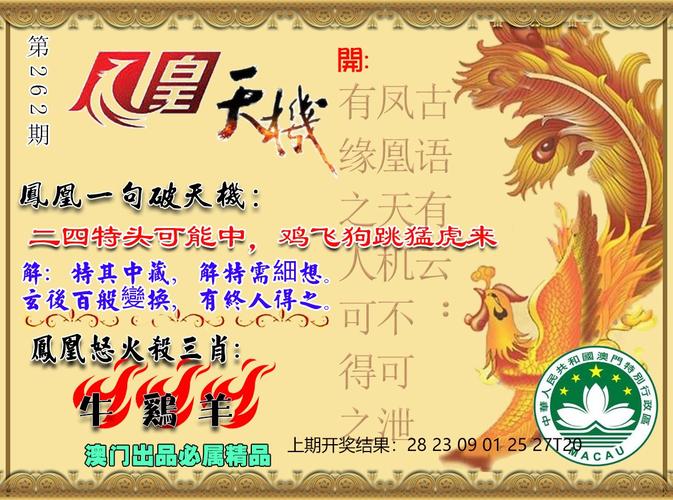 2025澳门天天开好彩精准一码,2025全面解析实用技巧分享