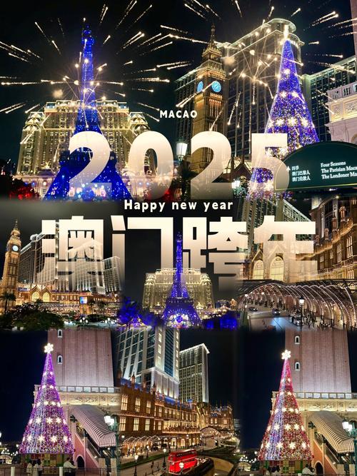 2025澳门开奖结果记录历史官方网站查询,2025年最新实用信息汇总指南