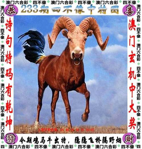 澳门资料大全,正版资料查询2024.261斯的资料,2025全面解析实用技巧分享