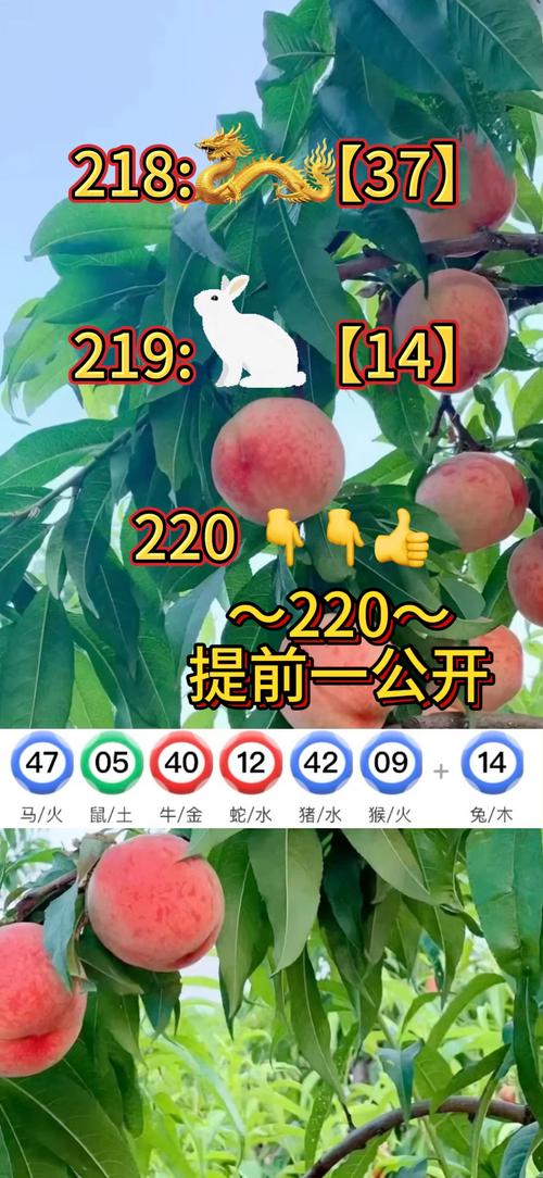 澳门资料大全资料258期介绍,2025全面解析实用技巧分享