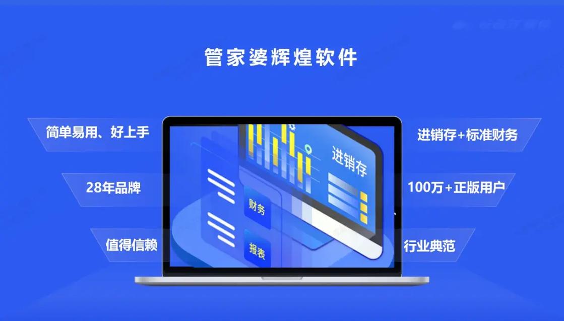 管家婆正版管家,2025全面解析实用技巧分享