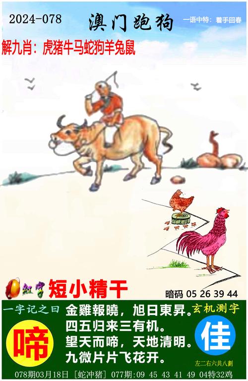 2024澳门精准正版资料大全猜谜语查询,2025年最新实用信息汇总指南