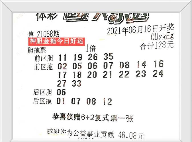 管家婆1肖中特查询,2025年最新实用信息汇总指南