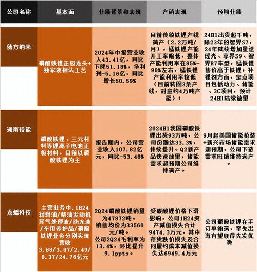 2024澳门资料大全免费一寸?和新澳门2025天天开好彩全面释义、专家解释与落实与警惕虚假宣传