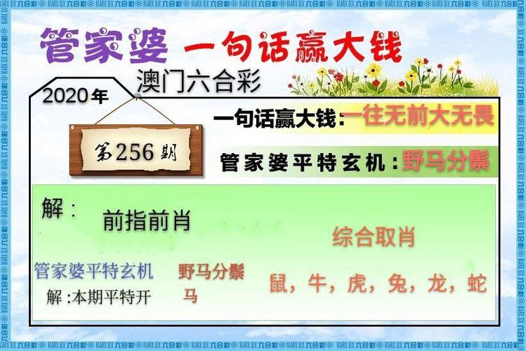 澳门管家婆100%精准香港和2025新澳门正版免费挂牌全面释义、专家解释与落实与警惕虚假宣传