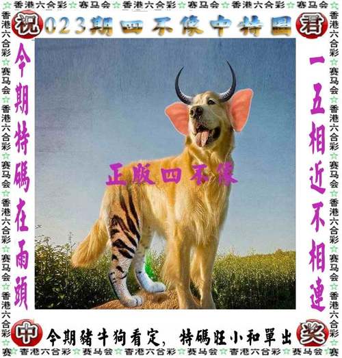 美食 第5页